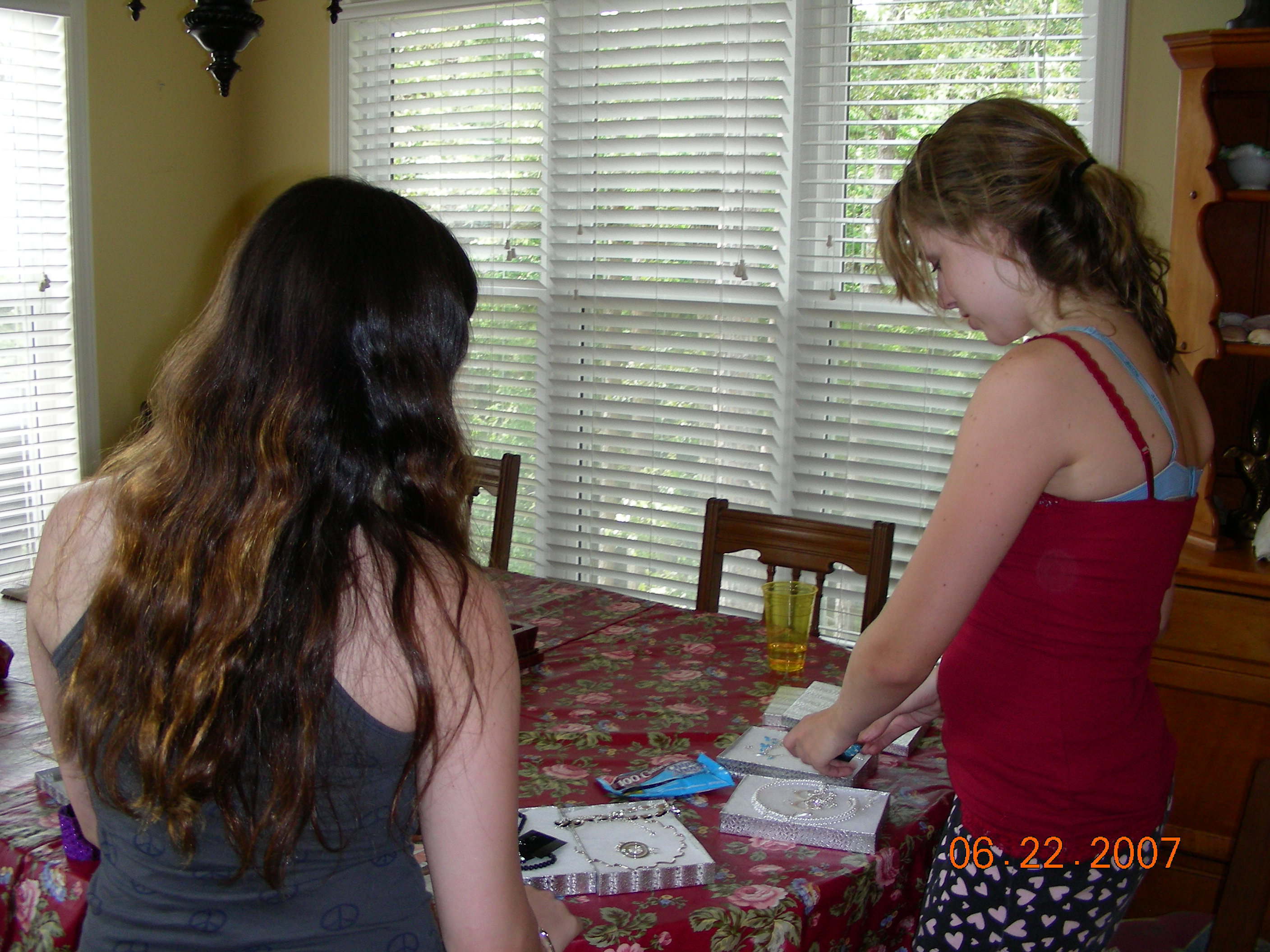 ./2007/Kerr Lake Eagles Nest/June22/DSCN1461.JPG